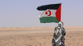 Copertina della news Prove di guerra nel deserto del Sahara